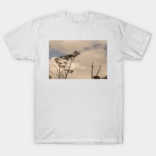 ebs tree in clouds T-Shirt